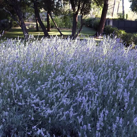 Holiday home Maison Calme Et Verdure Saint-Cannat